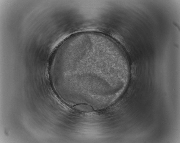 X0000100401452200806271409
