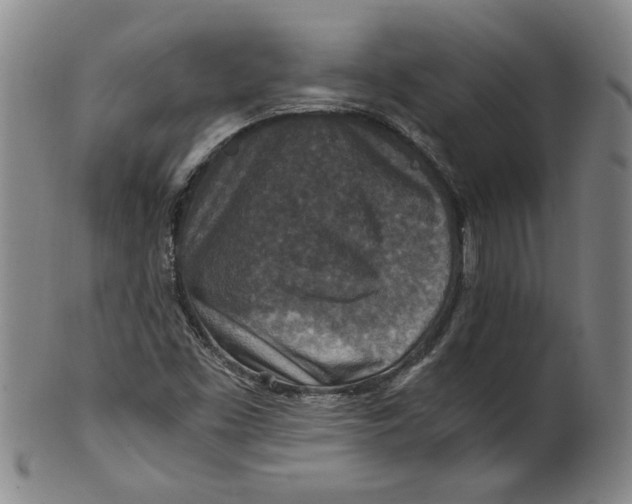 X0000100401453200806271409