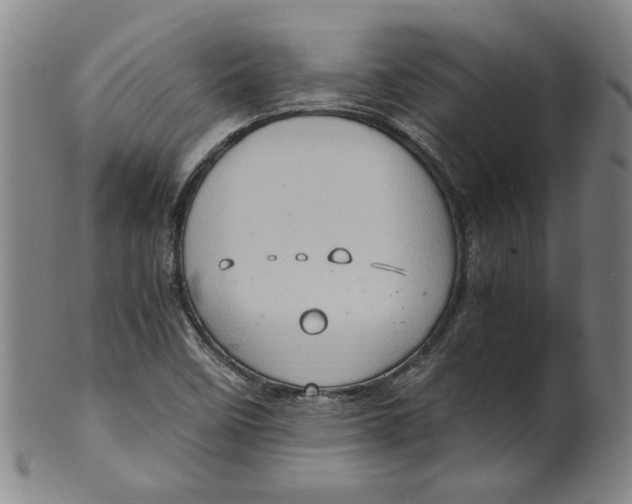 X0000100401458200806271409