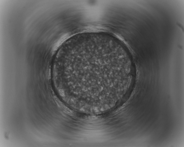 X0000100401459200806271409