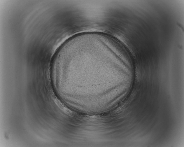 X0000100401460200806271409