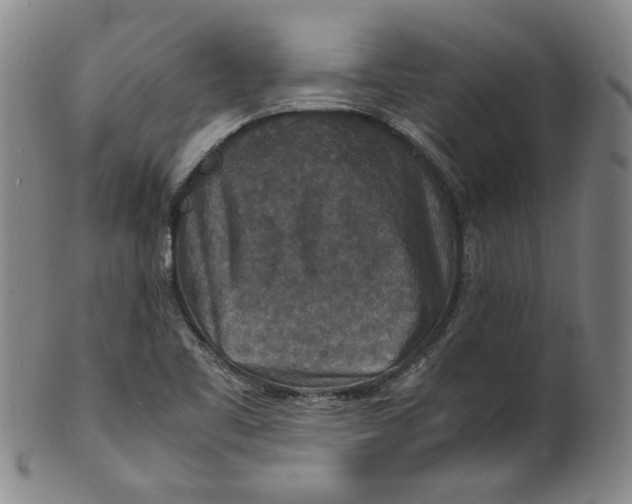 X0000100401461200806271409