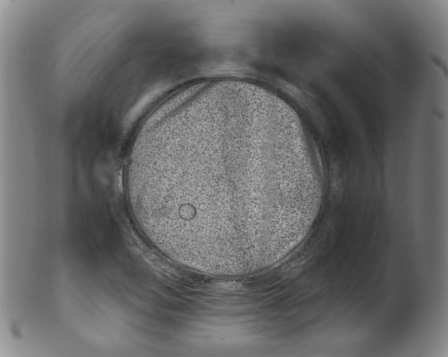 X0000100401462200806271409