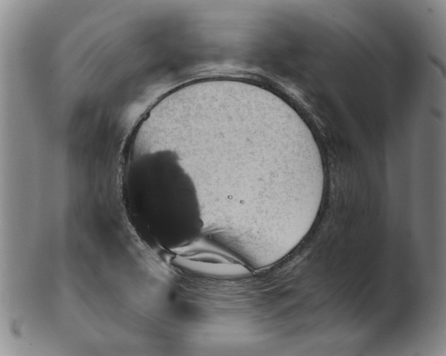X0000100401463200806271409