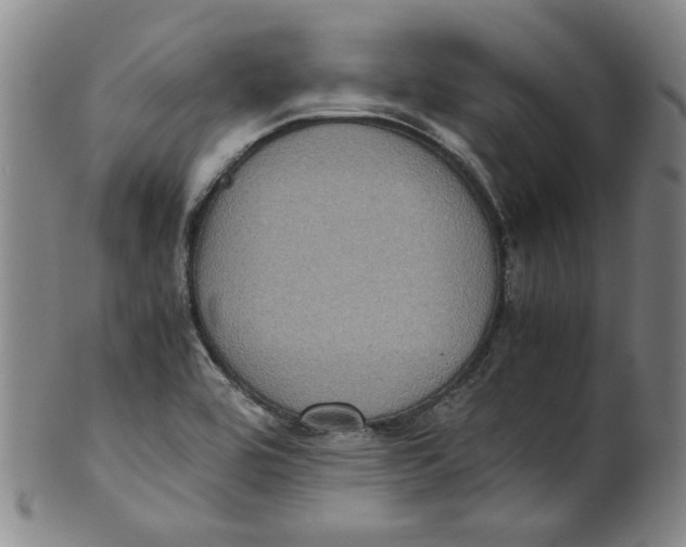 X0000100401464200806271409