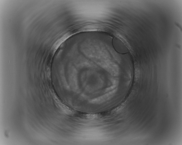 X0000100401465200806271409