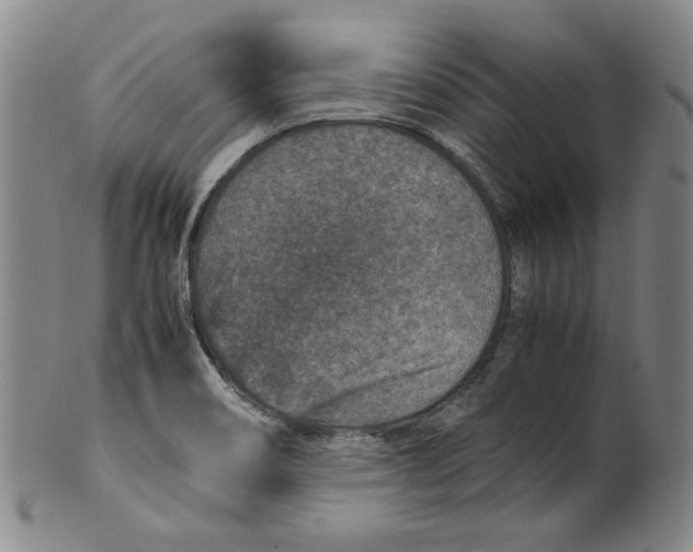 X0000100401466200806271409