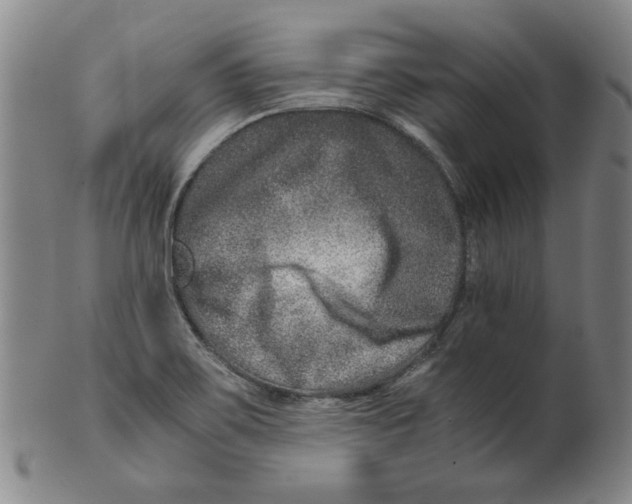 X0000100401467200806271409