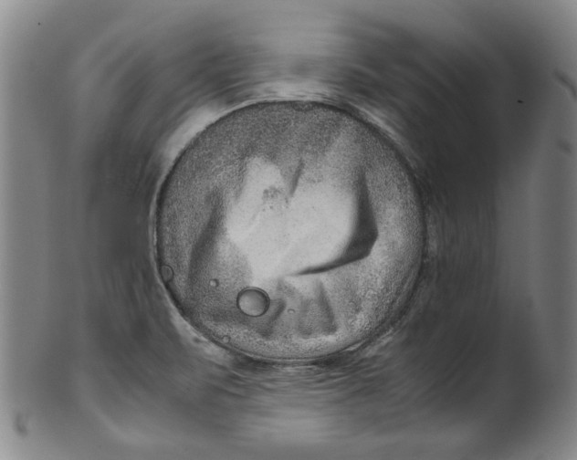 X0000100401471200806271409