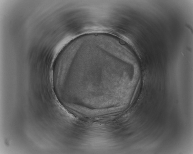 X0000100401472200806271409