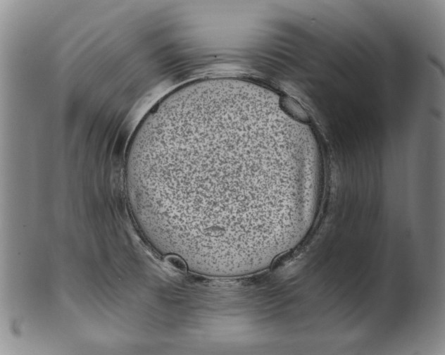 X0000100401473200806271409