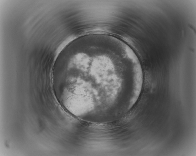 X0000100401474200806271409
