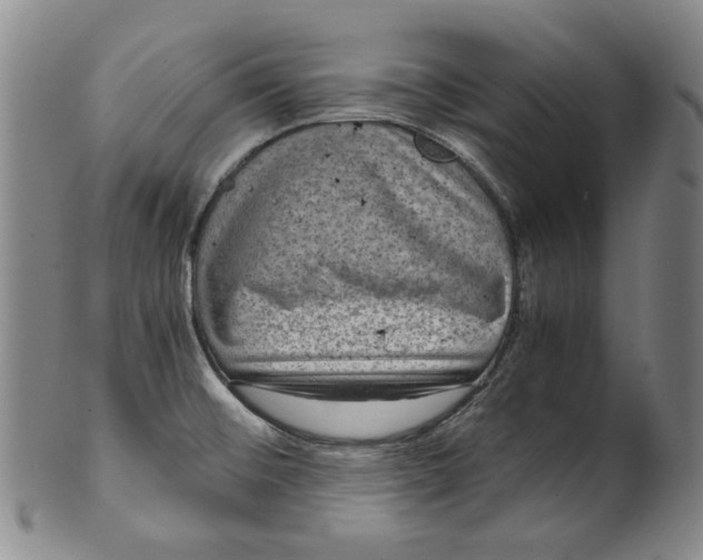 X0000100401476200806271409