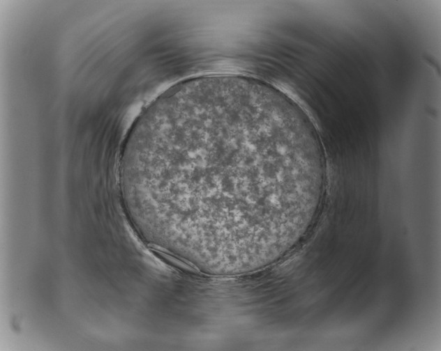 X0000100401477200806271409