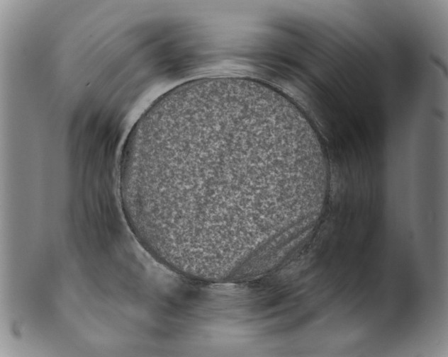 X0000100401478200806271409