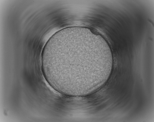 X0000100401479200806271409