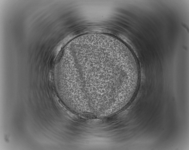 X0000100401481200806271409