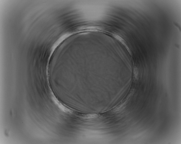 X0000100401482200806271409
