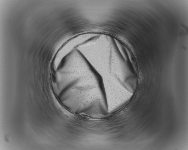 X0000100401483200806271409