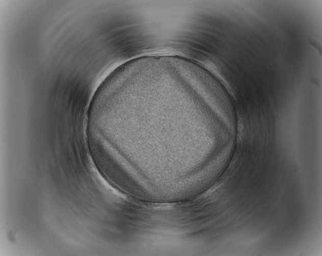 X0000100401484200806271409