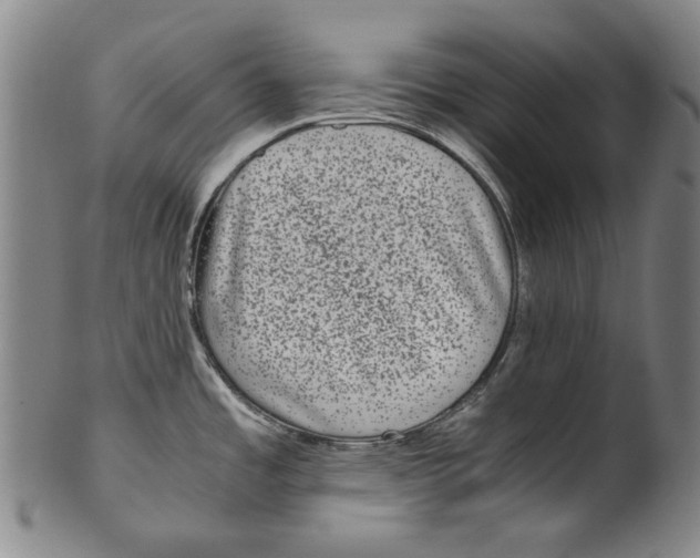 X0000100401485200806271409