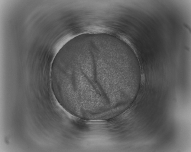 X0000100401487200806271409