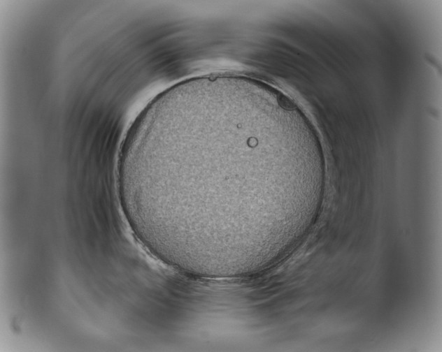 X0000100401488200806271409