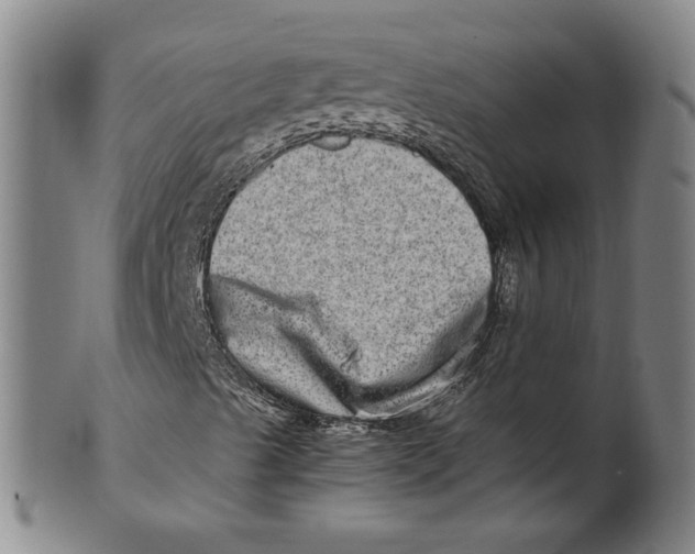 X0000100401489200806271408