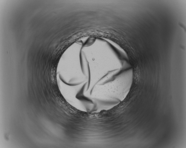 X0000100401490200806271408