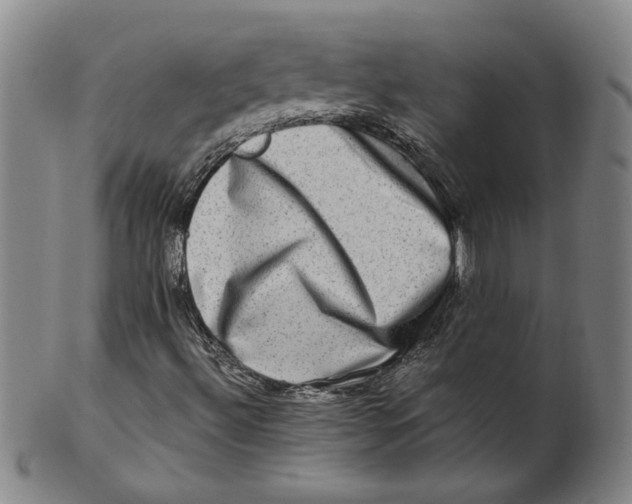X0000100401492200806271408
