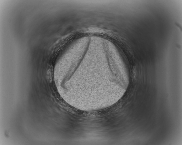 X0000100401493200806271408