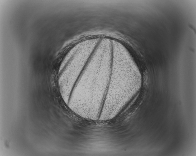 X0000100401494200806271408