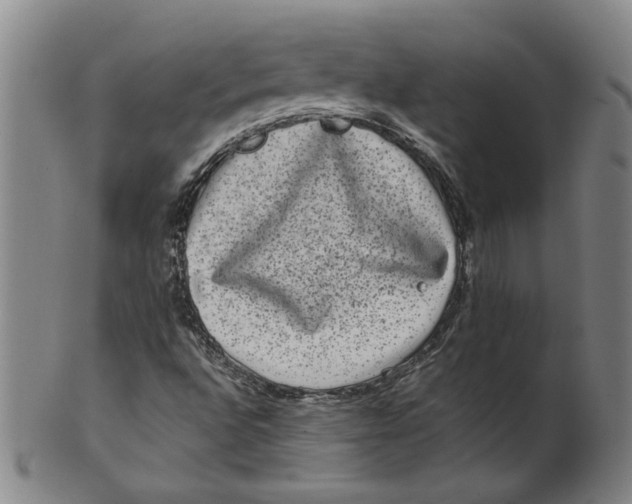 X0000100401496200806271408