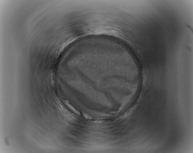 X0000100401497200806271408