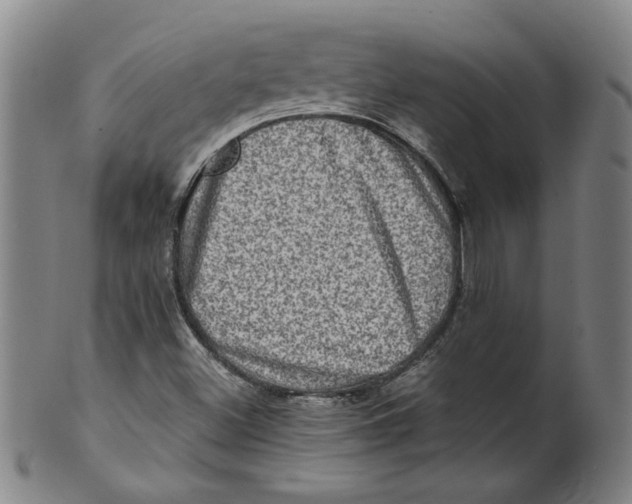 X0000100401500200806271408