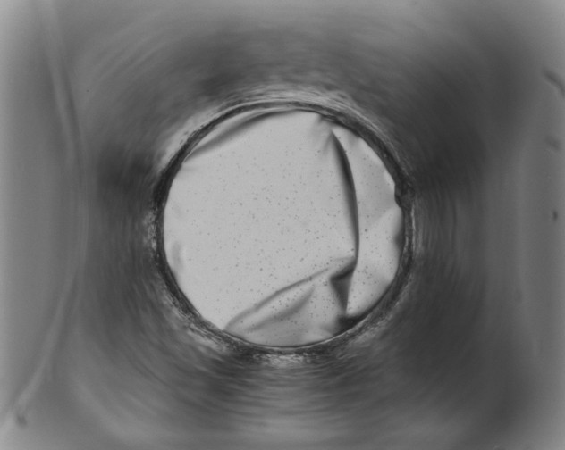 X0000100401501200806271408