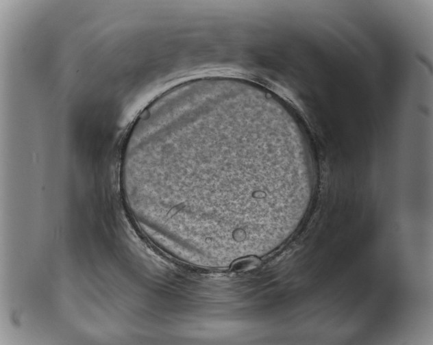 X0000100401504200806271408