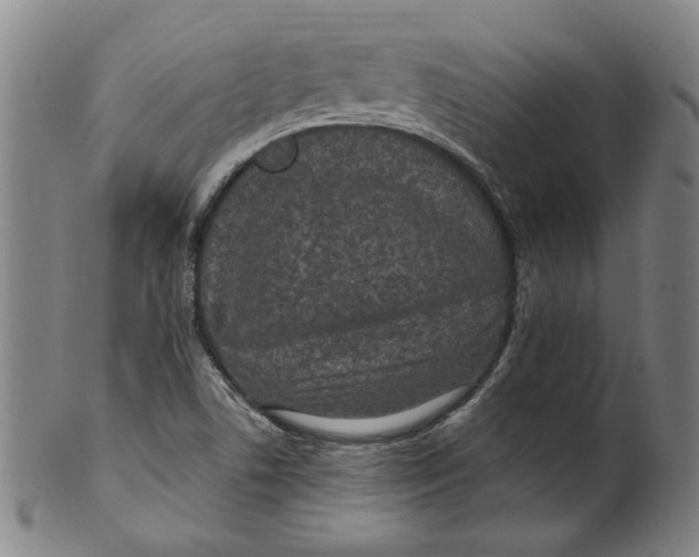 X0000100401506200806271408