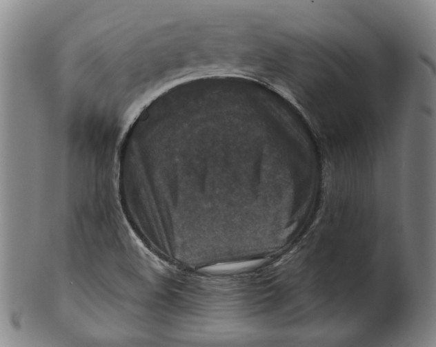 X0000100401508200806271408