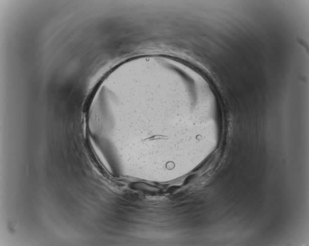 X0000100401509200806271408