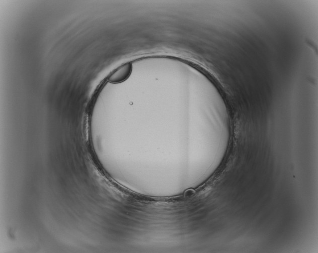 X0000100401510200806271408