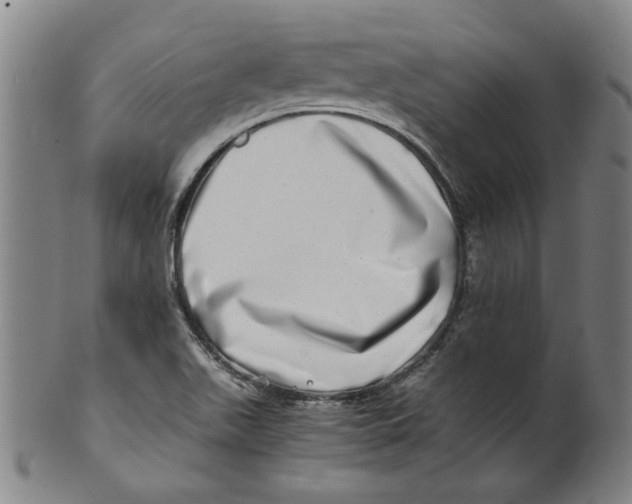 X0000100401511200806271408
