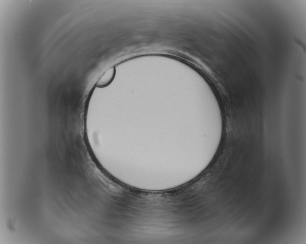 X0000100401512200806271408