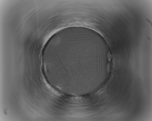 X0000100401515200806271408