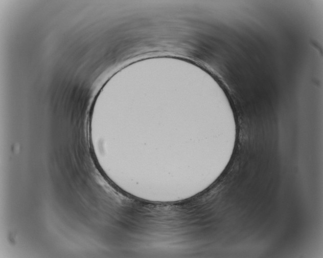 X0000100401516200806271408