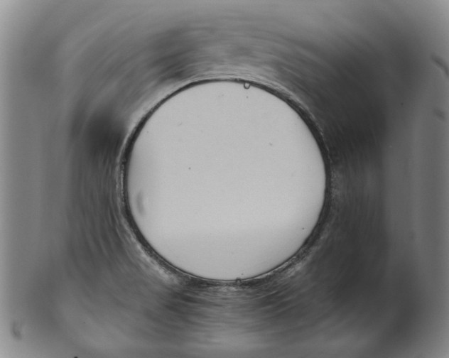 X0000100401517200806271408