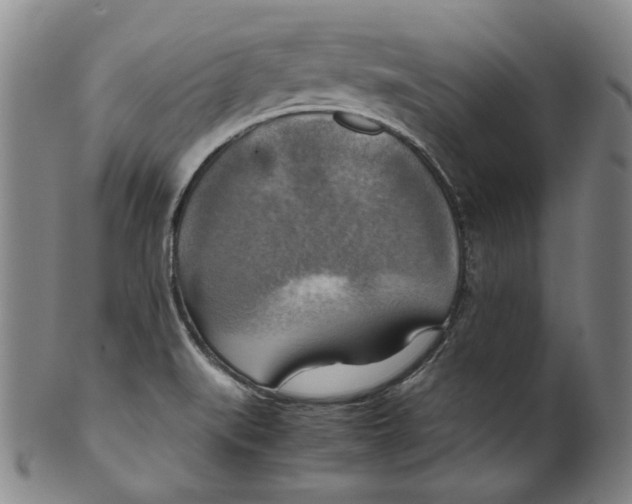 X0000100401519200806271408