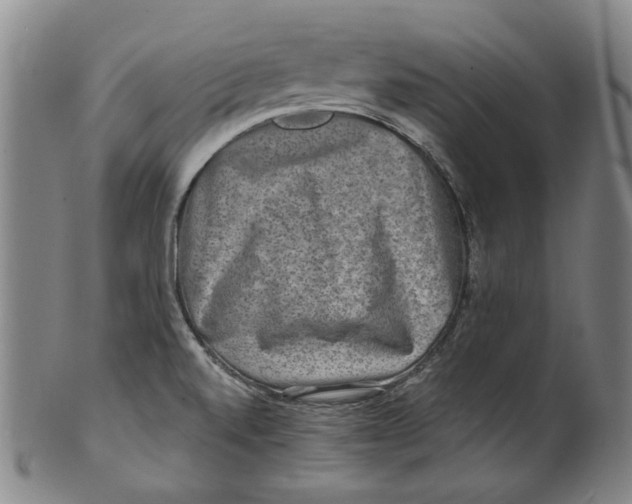 X0000100401520200806271408
