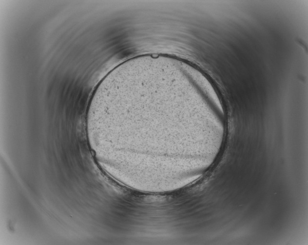 X0000100401521200806271408