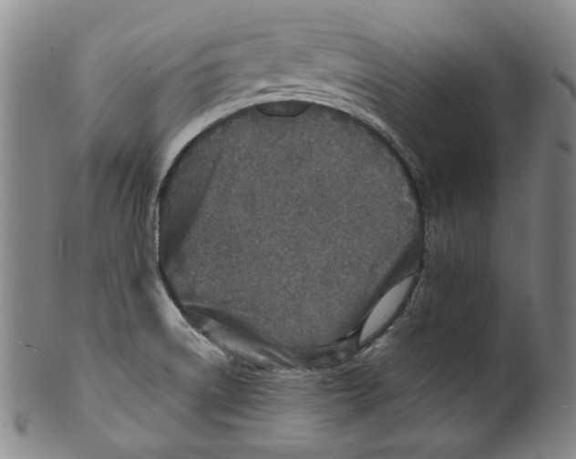 X0000100401522200806271408